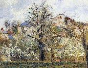 Camille Pissarro Material and Dimensions oil